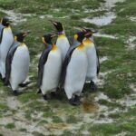 Yeti vs. Stanley: Which Tumbler Actually Keeps Ice Longer?