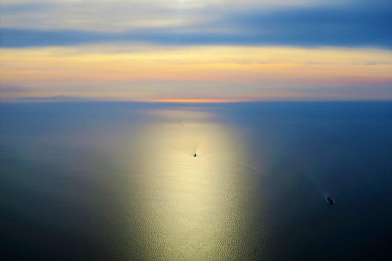 Temu vs. AliExpress: A Safety and Quality Comparison for Shoppers