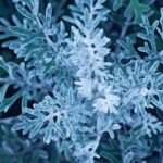 Herman Miller Aeron vs. Embody: Which Office Chair Wins?