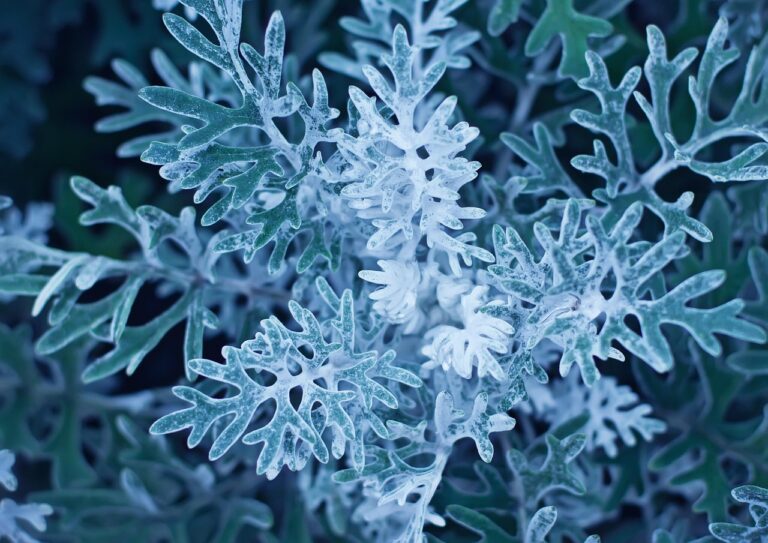 Herman Miller Aeron vs. Embody: Which Office Chair Wins?