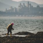 KitchenAid Artisan Series: Is the Iconic Stand Mixer Still the Best?